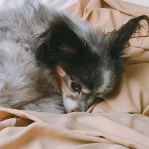 Meet your Posher, Kasey